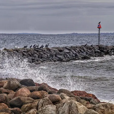 Tranquil Retreat In Mommark - By Traum Vibøge