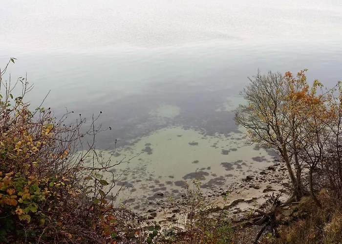 Tranquil Retreat In Mommark - By Traum Holiday home Viboge